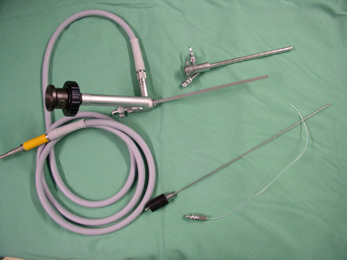 Neuroendoscope